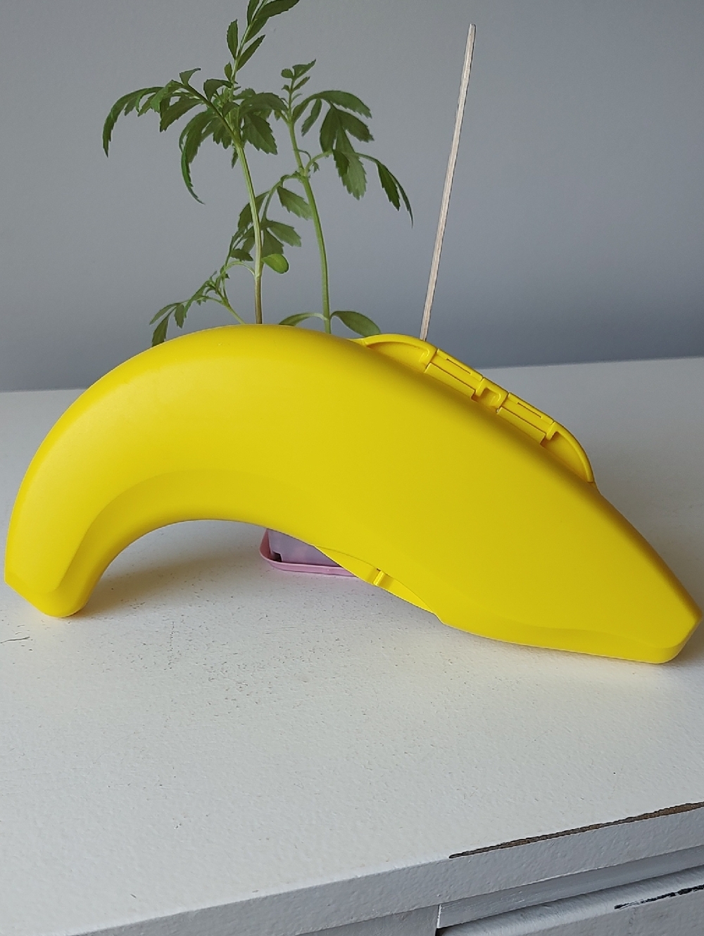 Tupperware Banana Keeper - Picture 4 of 5